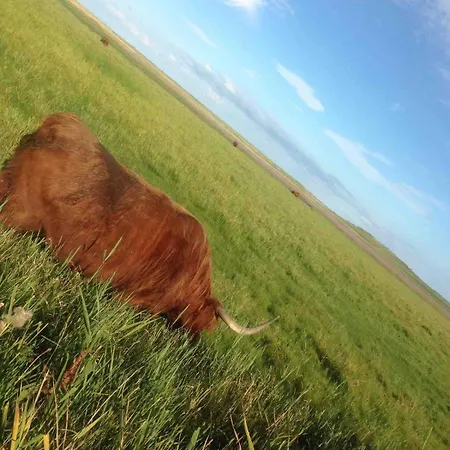 Classic Vintage House With Sea View - Sonderho * Fanø
