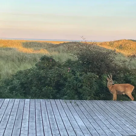 Classic Vintage House With Sea View - Sonderho * Fanø