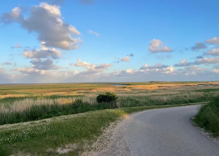 度假居 Classic Vintage House With Sea View - Sonderho Fanø