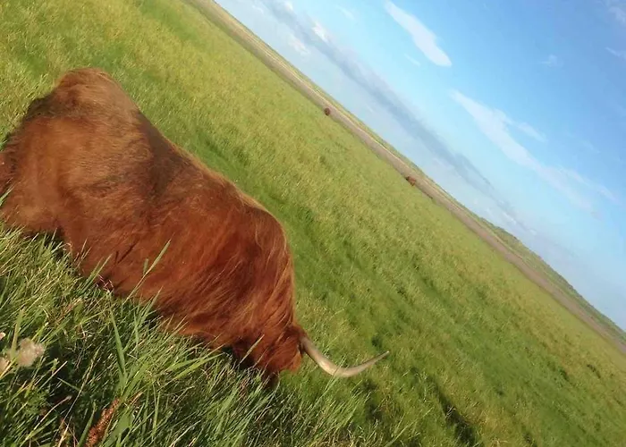 Classic Vintage House With Sea View - Sonderho * Fanø