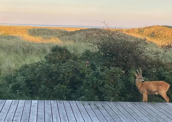 Classic Vintage House With Sea View - Sonderho * Fanø
